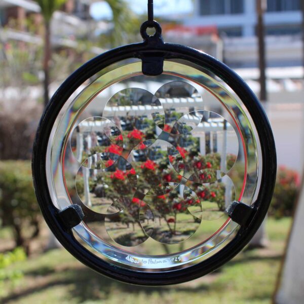 6" inch diameter hanging glass magiscope