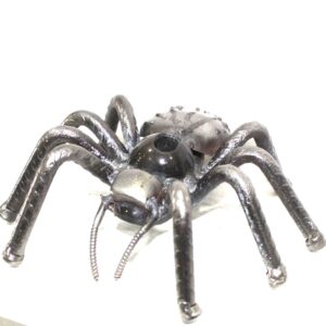 Tarantula 2" x 5.50" inches MDL6